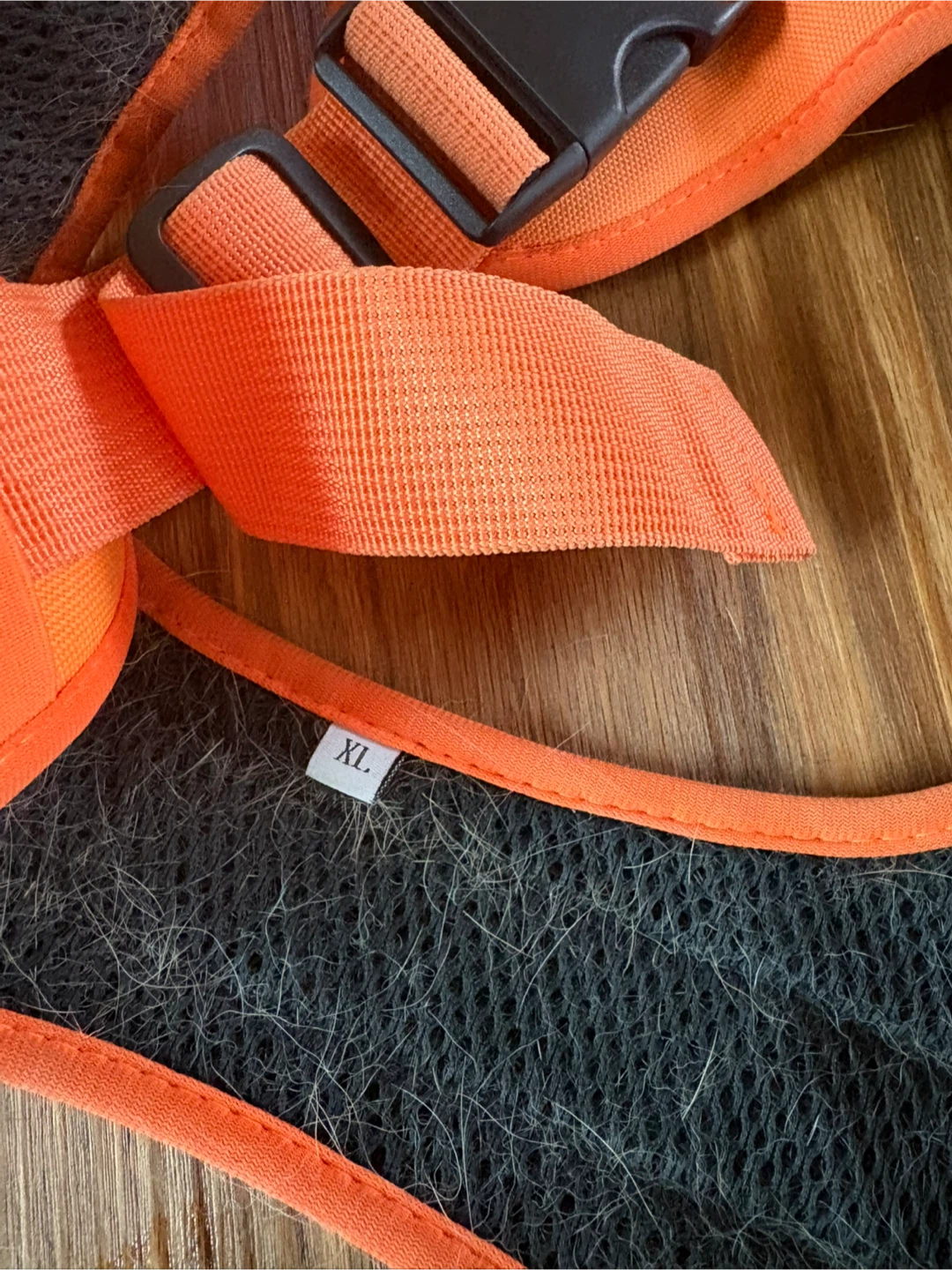 Orange Service Dog in Training Harness - photo 5