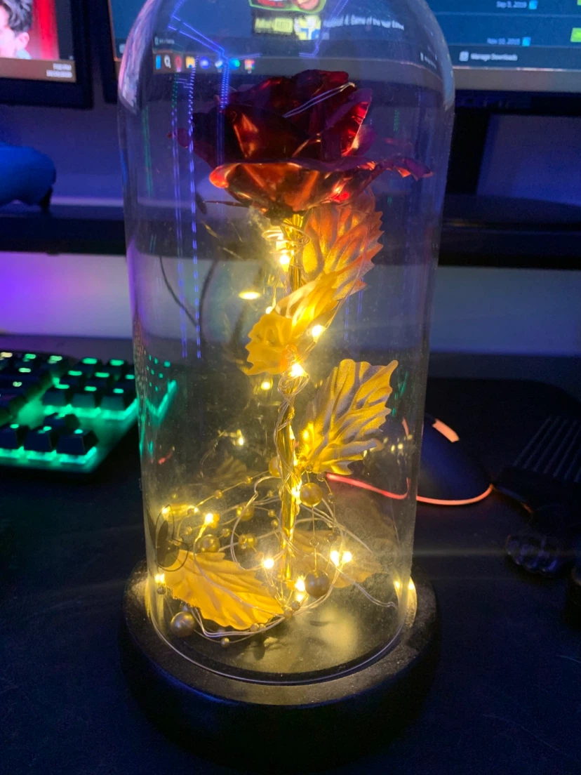 Enchanted LED Rose Glass Dome