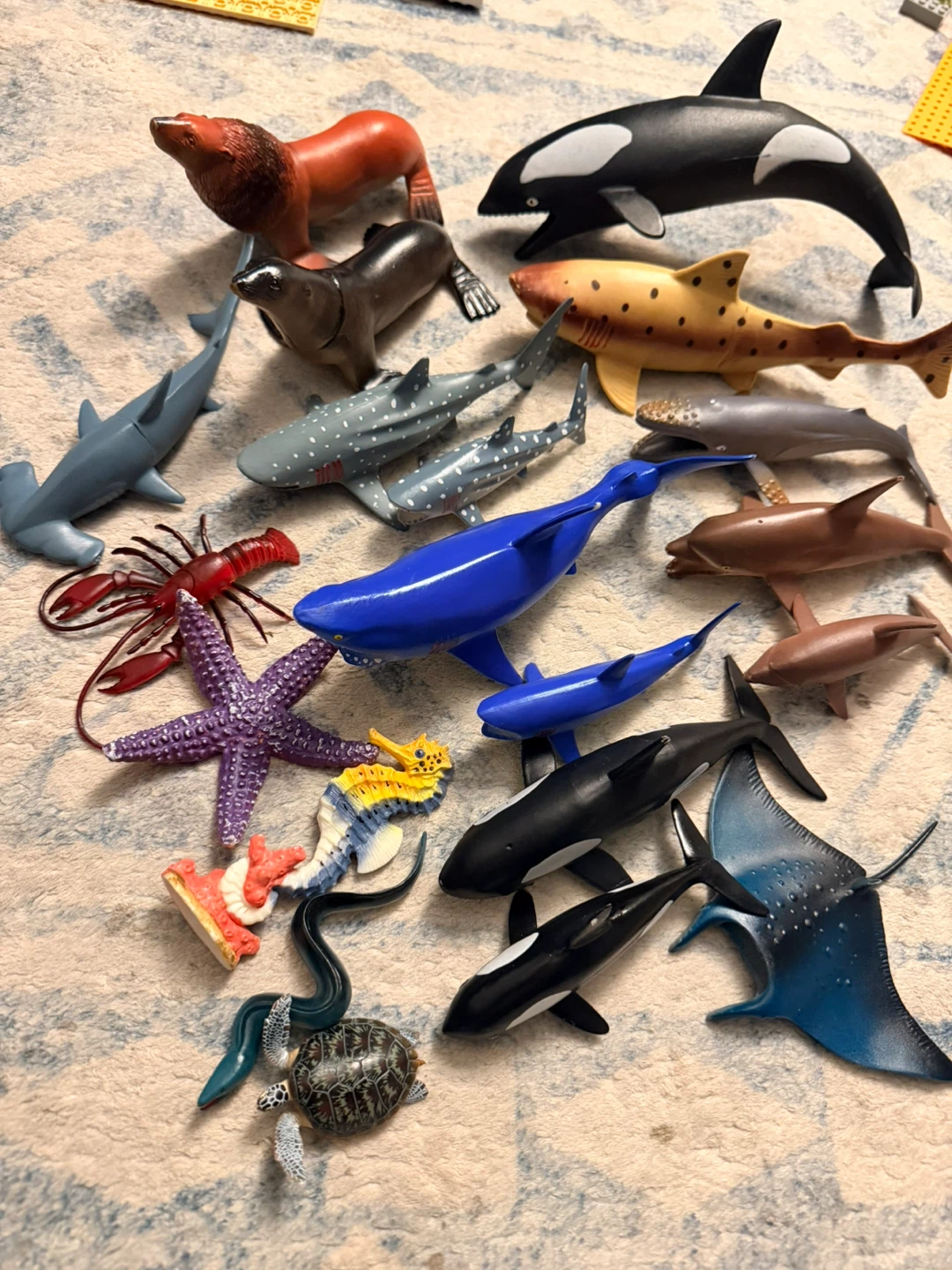 Sea Animal toy