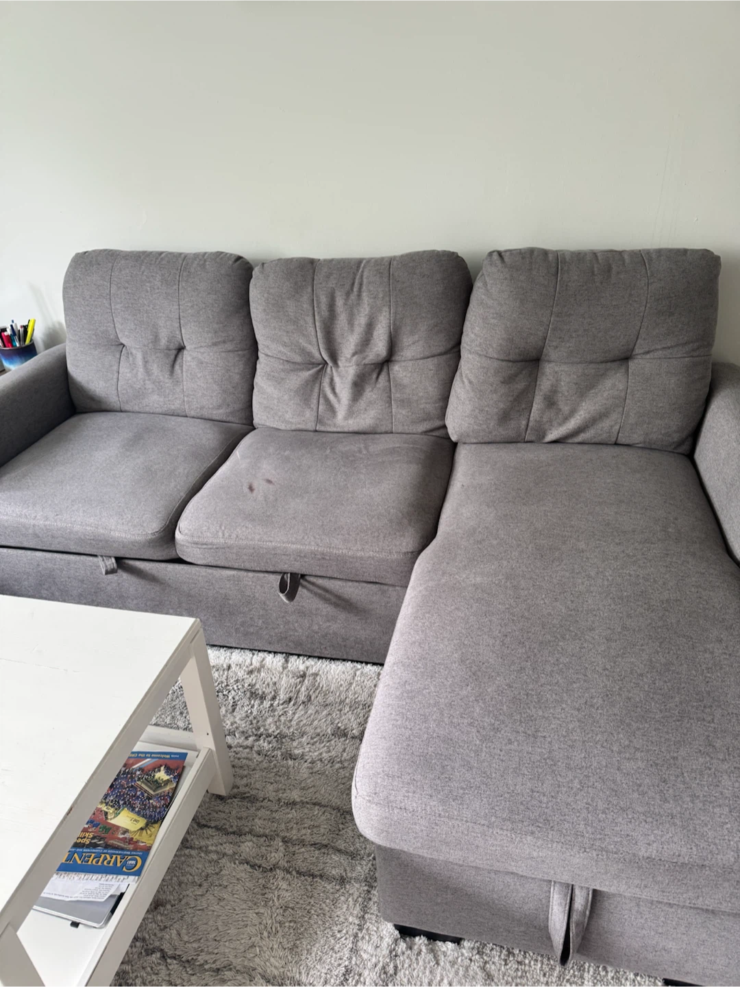 Grey sectional sofa with pull-out bed and storage
