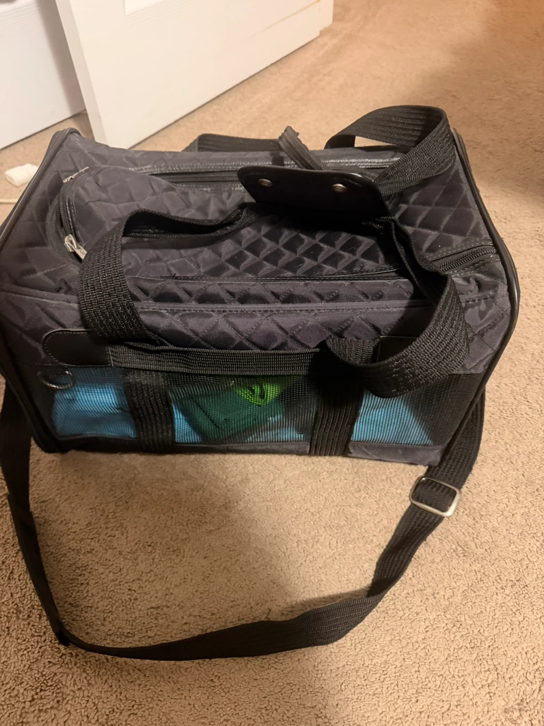 Quilted Pet Carrier for small dog
