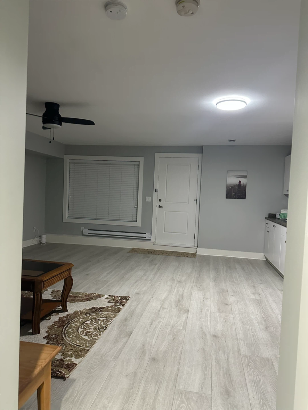 Basement suite