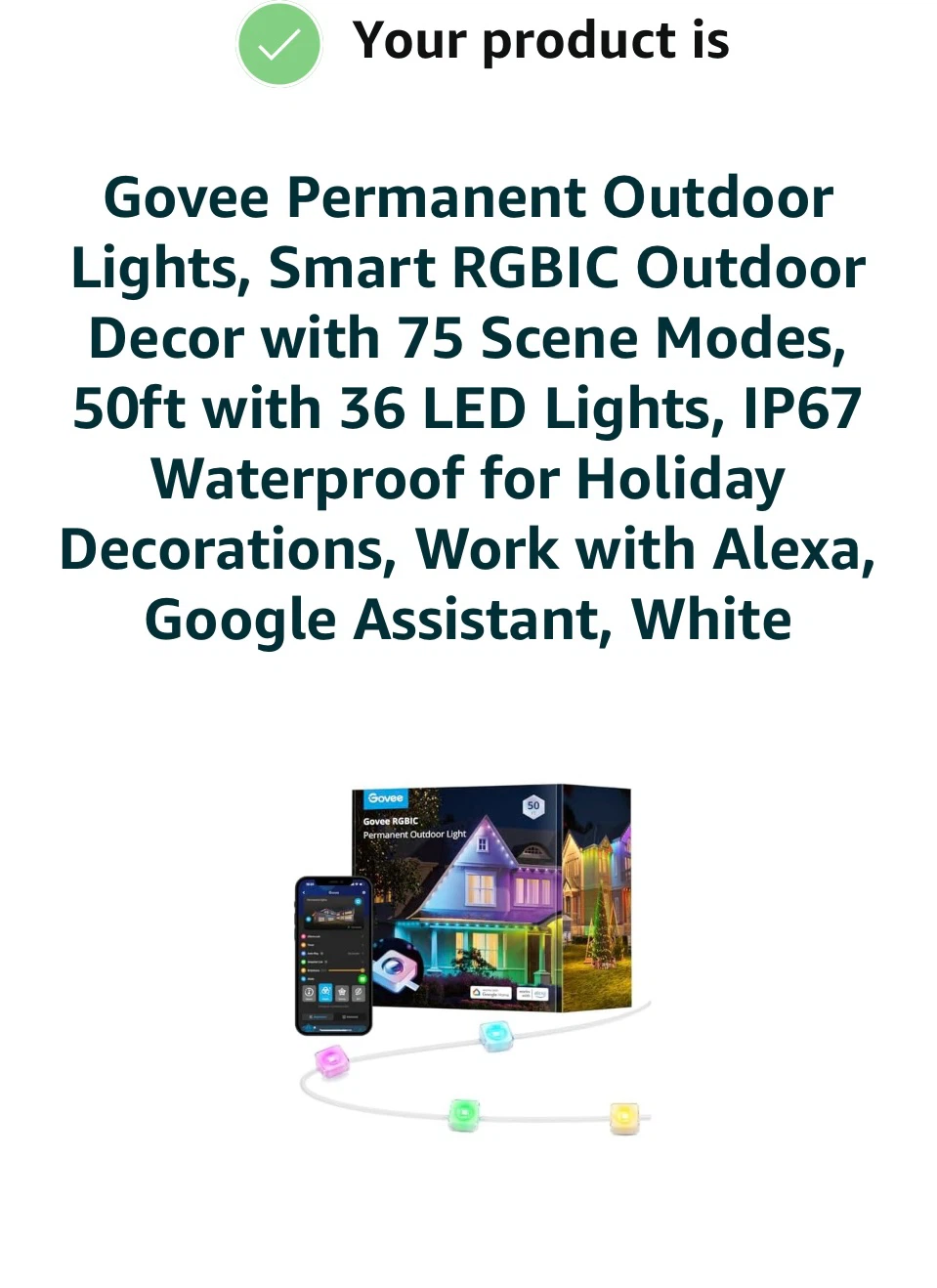 Govee Permanent Outdoor Lights 50ft