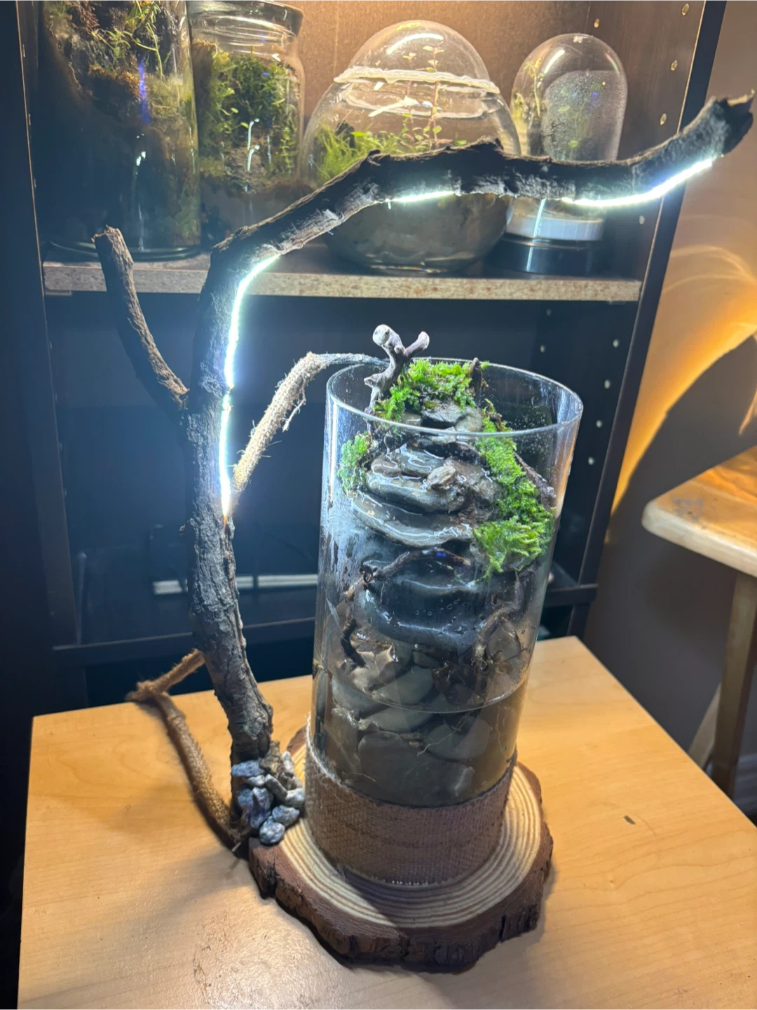 A miniature natural landscape