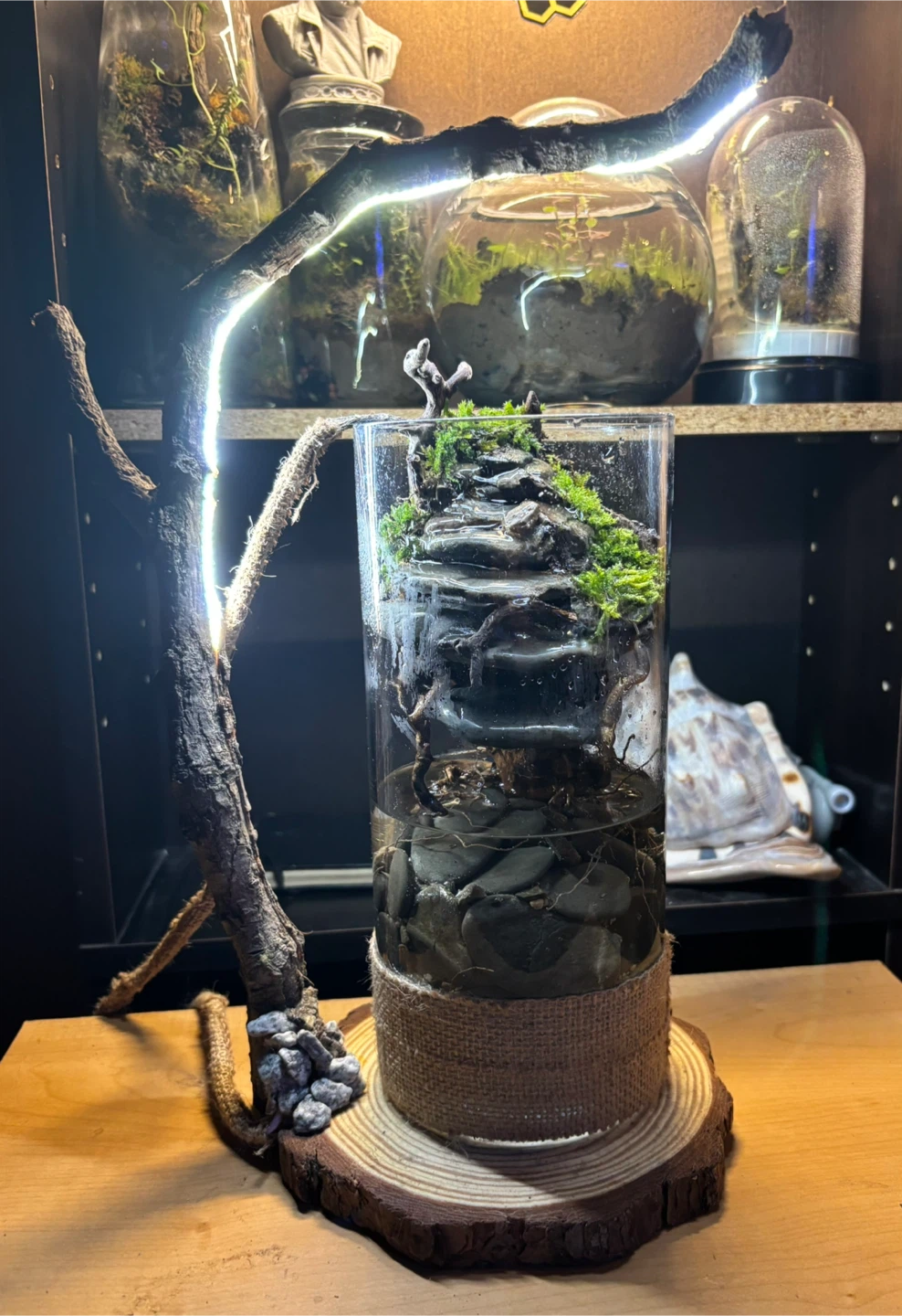 A miniature natural landscape - photo 3