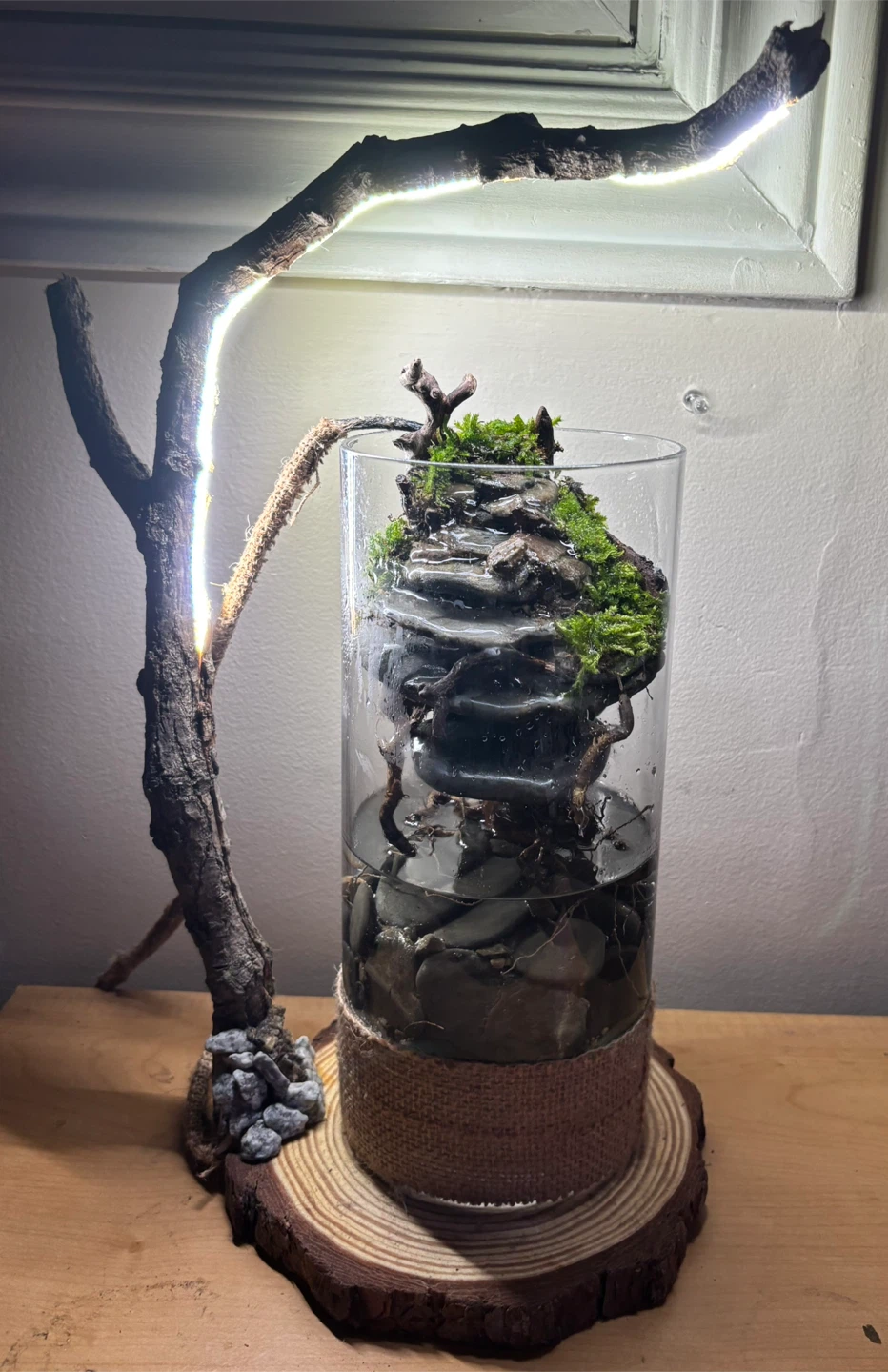 A miniature natural landscape - photo 4