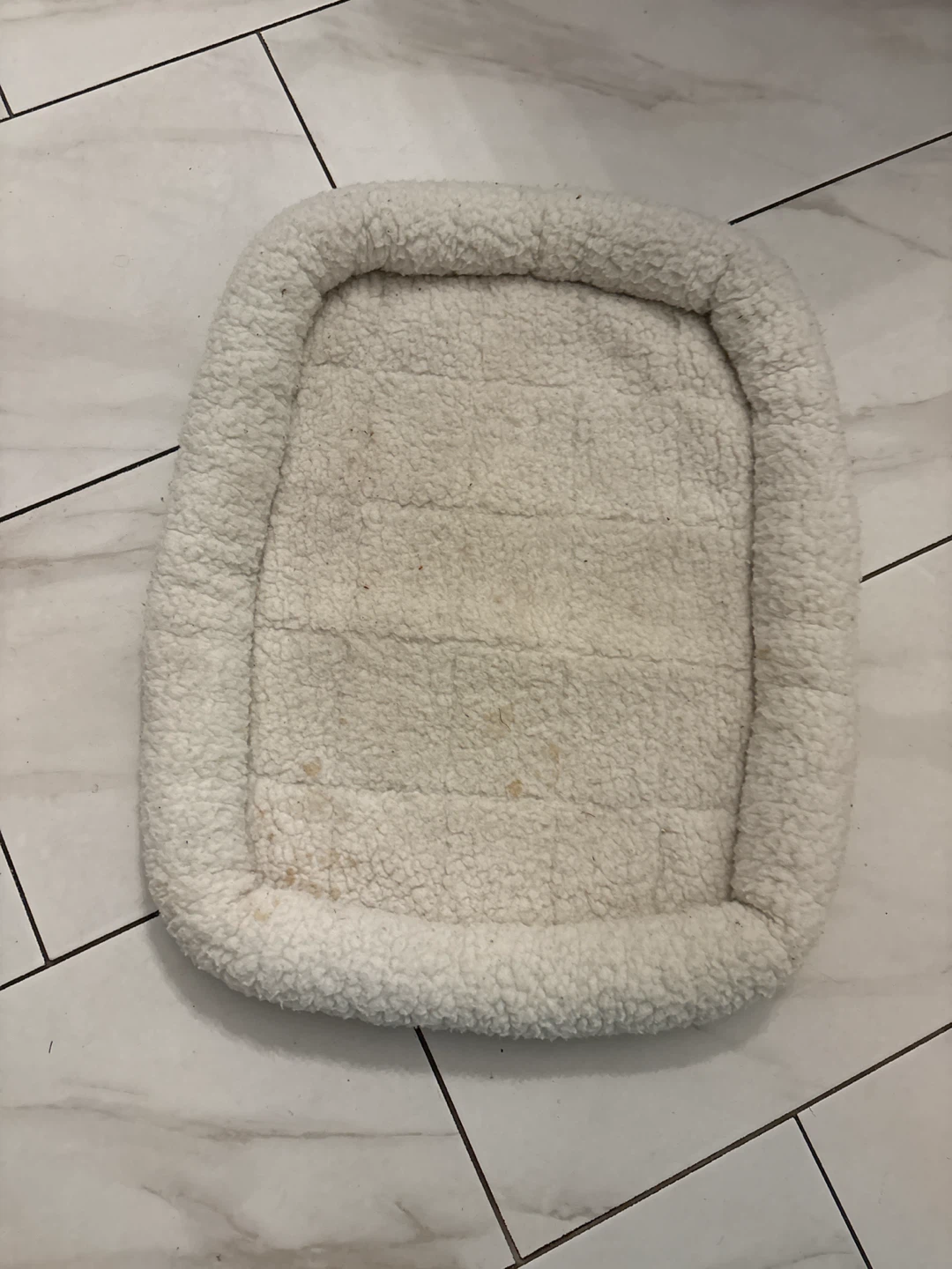 Quiet Time washable Pet Bed