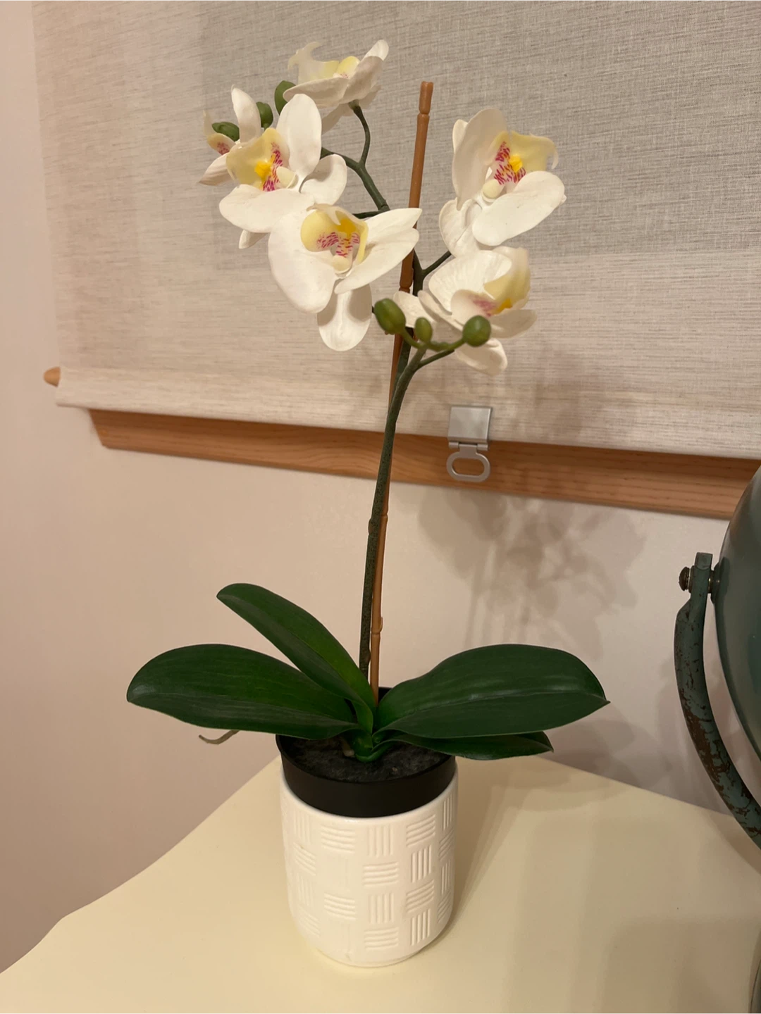 Artificial White Phalaenopsis Orchid in White Pot