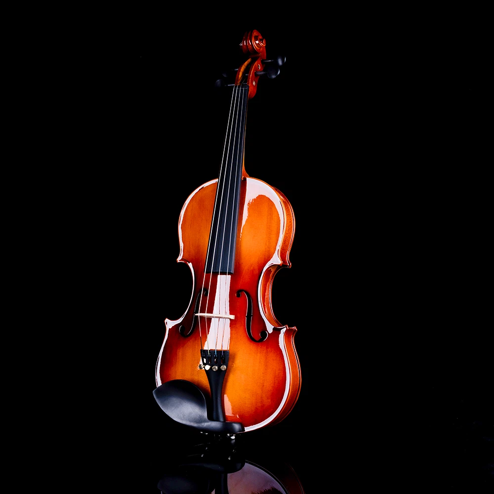 Acoustic Violin - photo 2