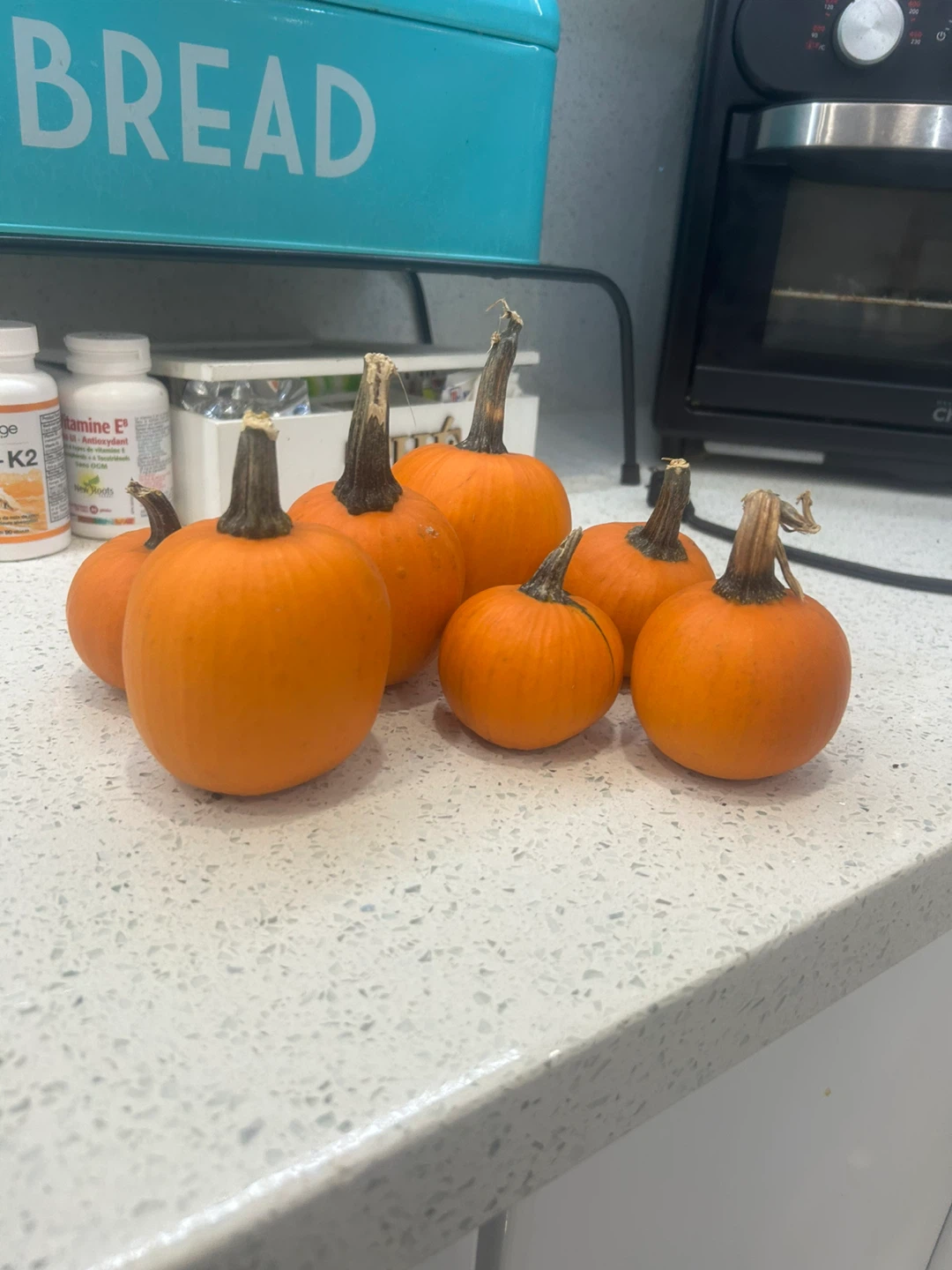 Set of 7 Mini Pumpkins