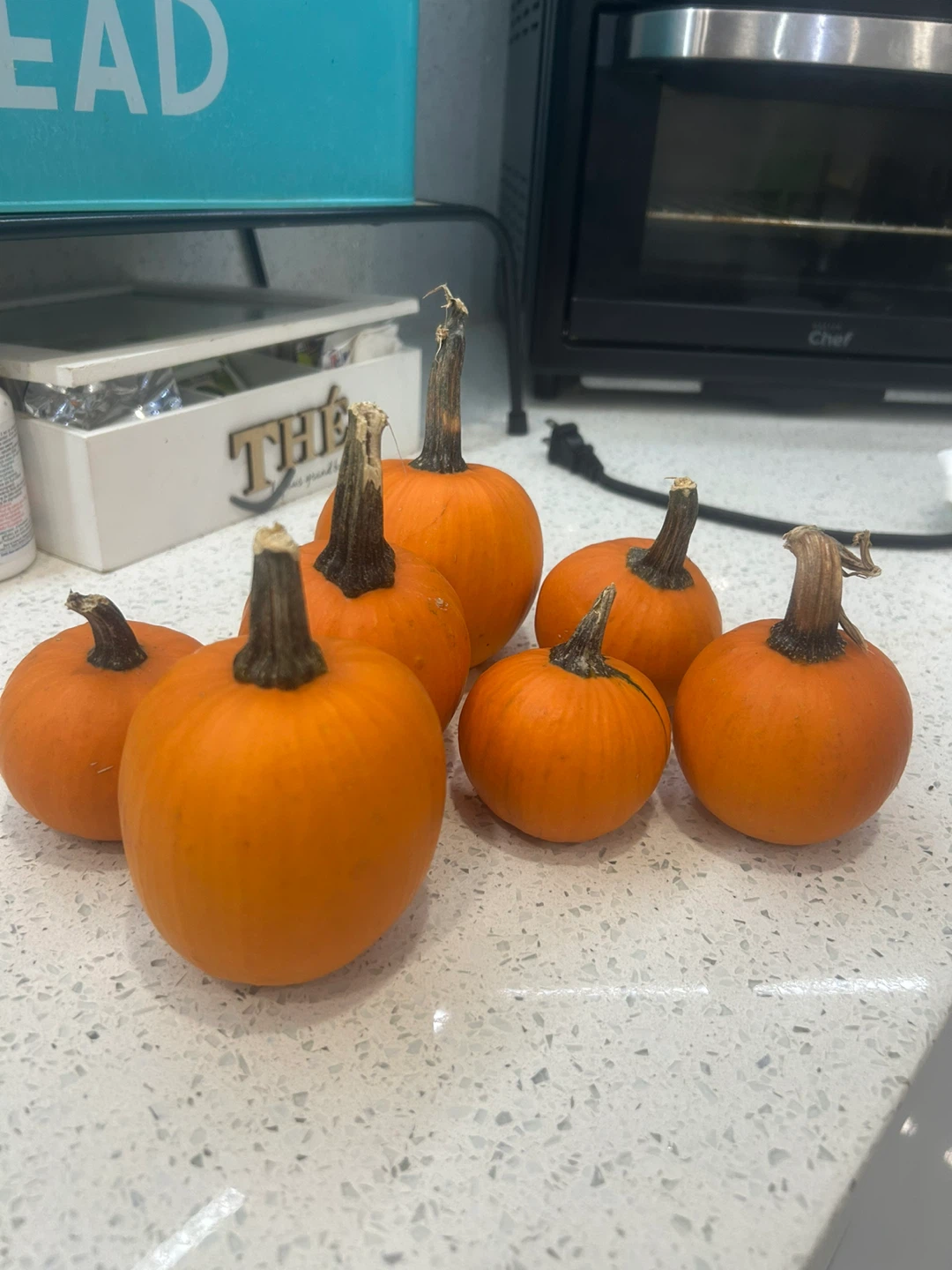 Set of 7 Mini Pumpkins - photo 2