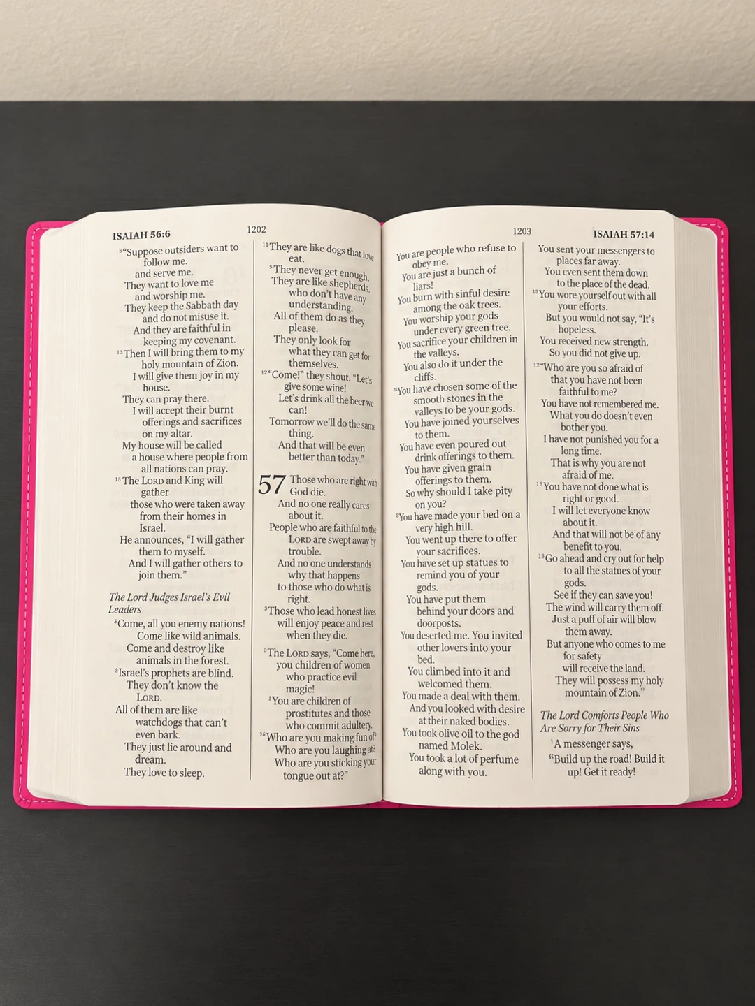 NlrV Holy Bible - Pink Floral Cover - photo 3