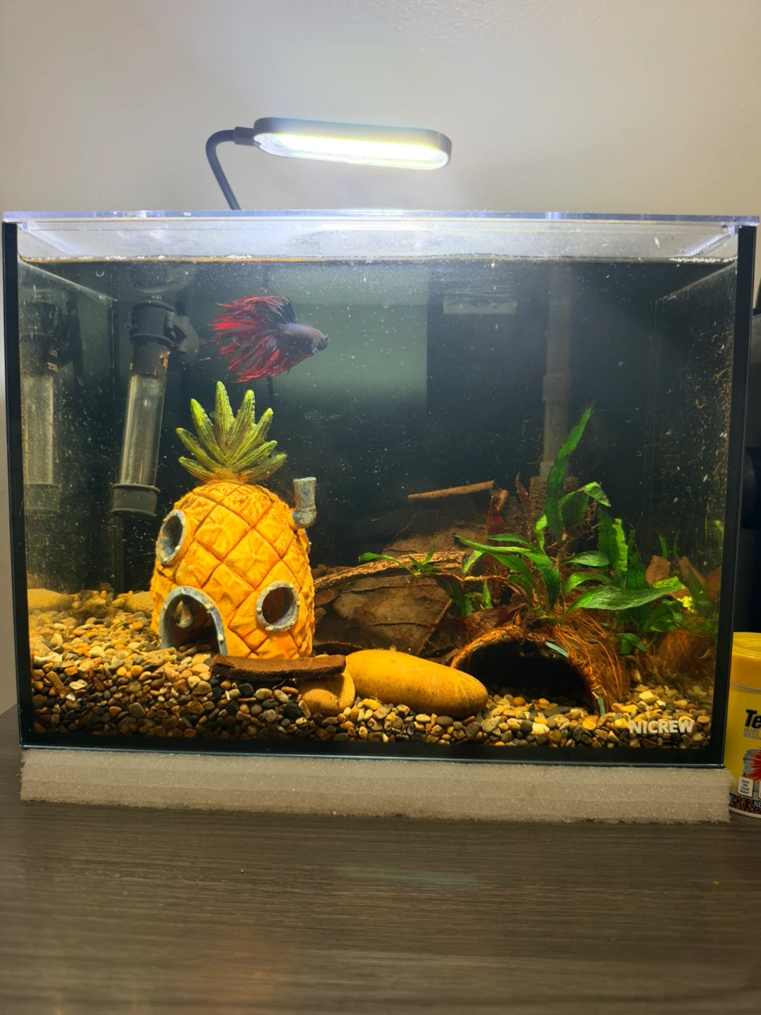 SpongeBob Pineapple Aquarium Ornament