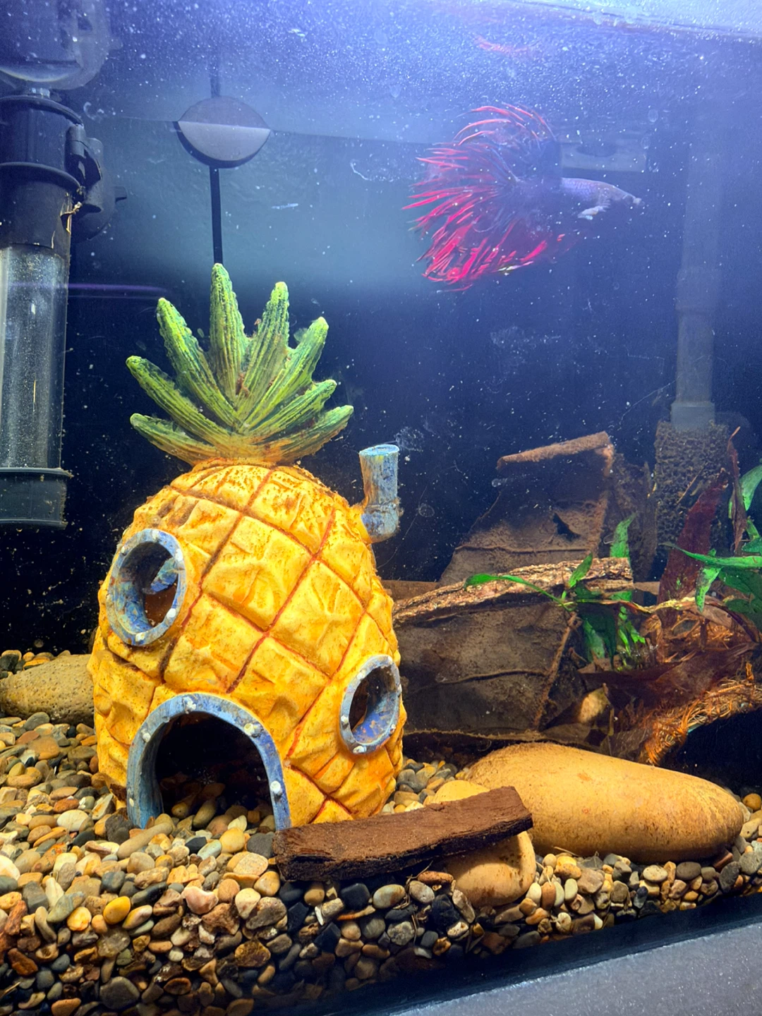 SpongeBob Pineapple Aquarium Ornament - photo 2