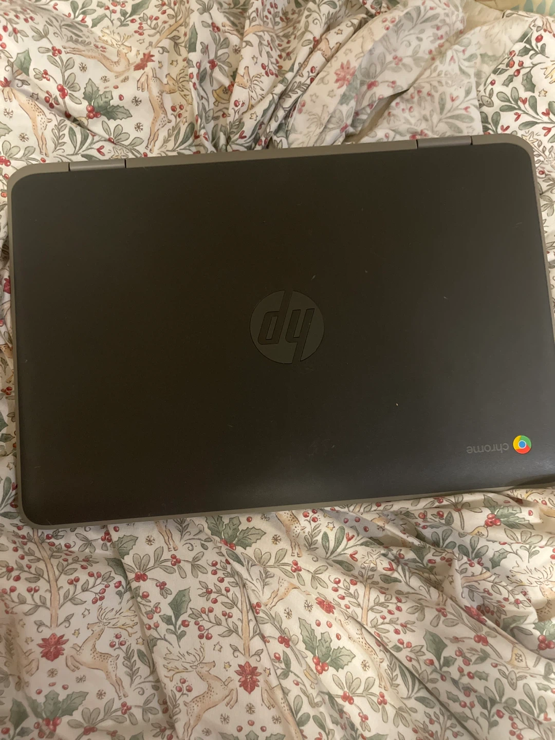 HP Chromebook