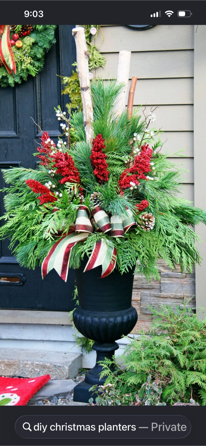 Christmas Holiday Planter Arrangement - photo 3