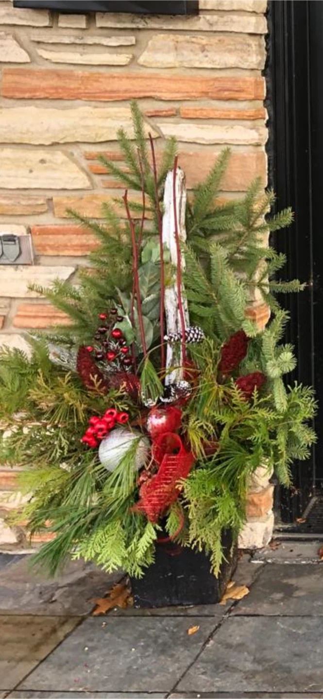 Christmas Holiday Planter Arrangement - photo 4