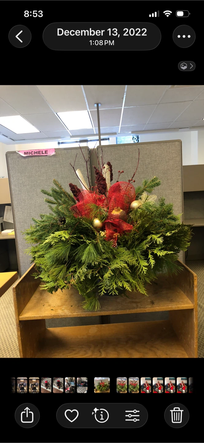 Christmas Holiday Planter Arrangement - photo 2