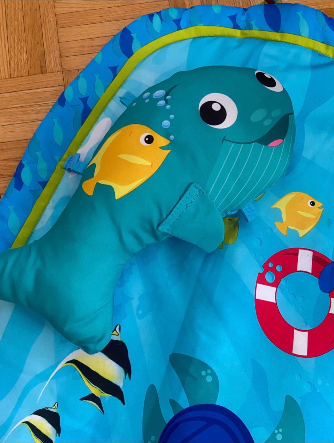 Baby Einstein Nautical Friends Play Gym - photo 2