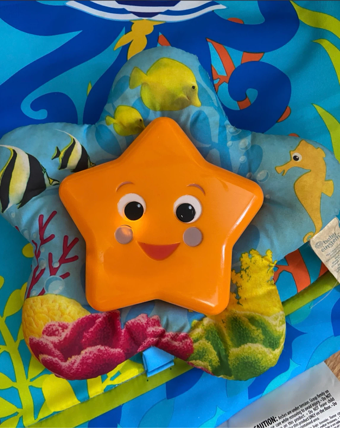 Baby Einstein Nautical Friends Play Gym - photo 3