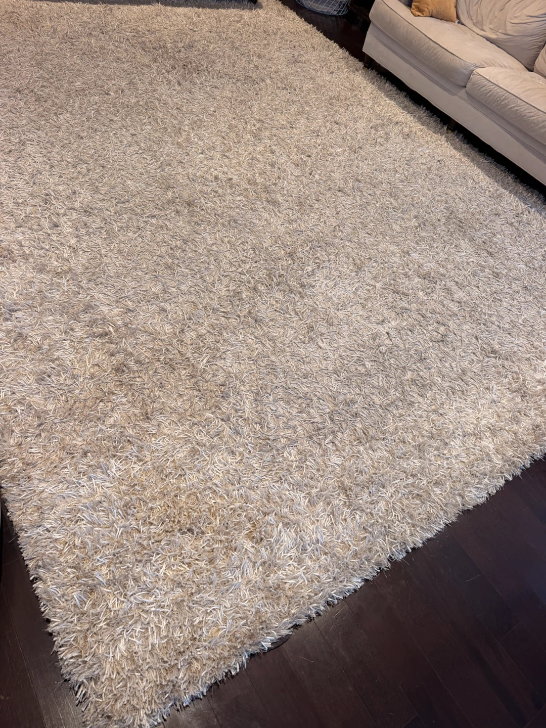 Large Beige Shag Area Rug 10’x14’