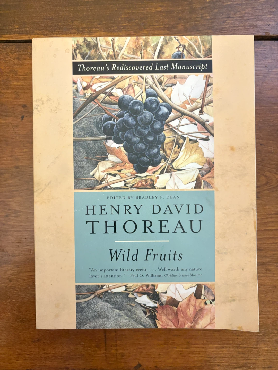 Wild Fruits by Henry David Thoreau