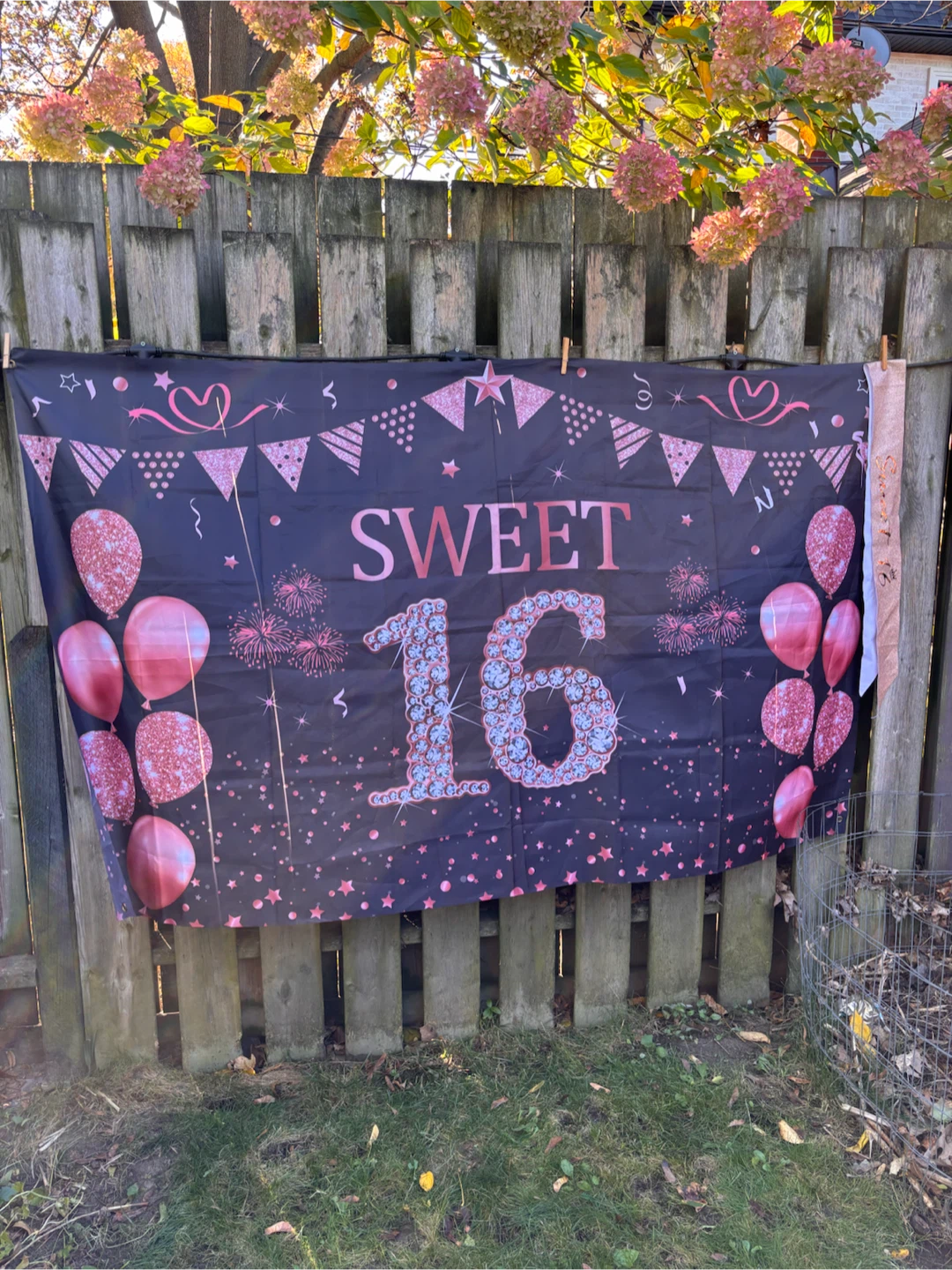 Sweet 16 Birthday Banner and Sash