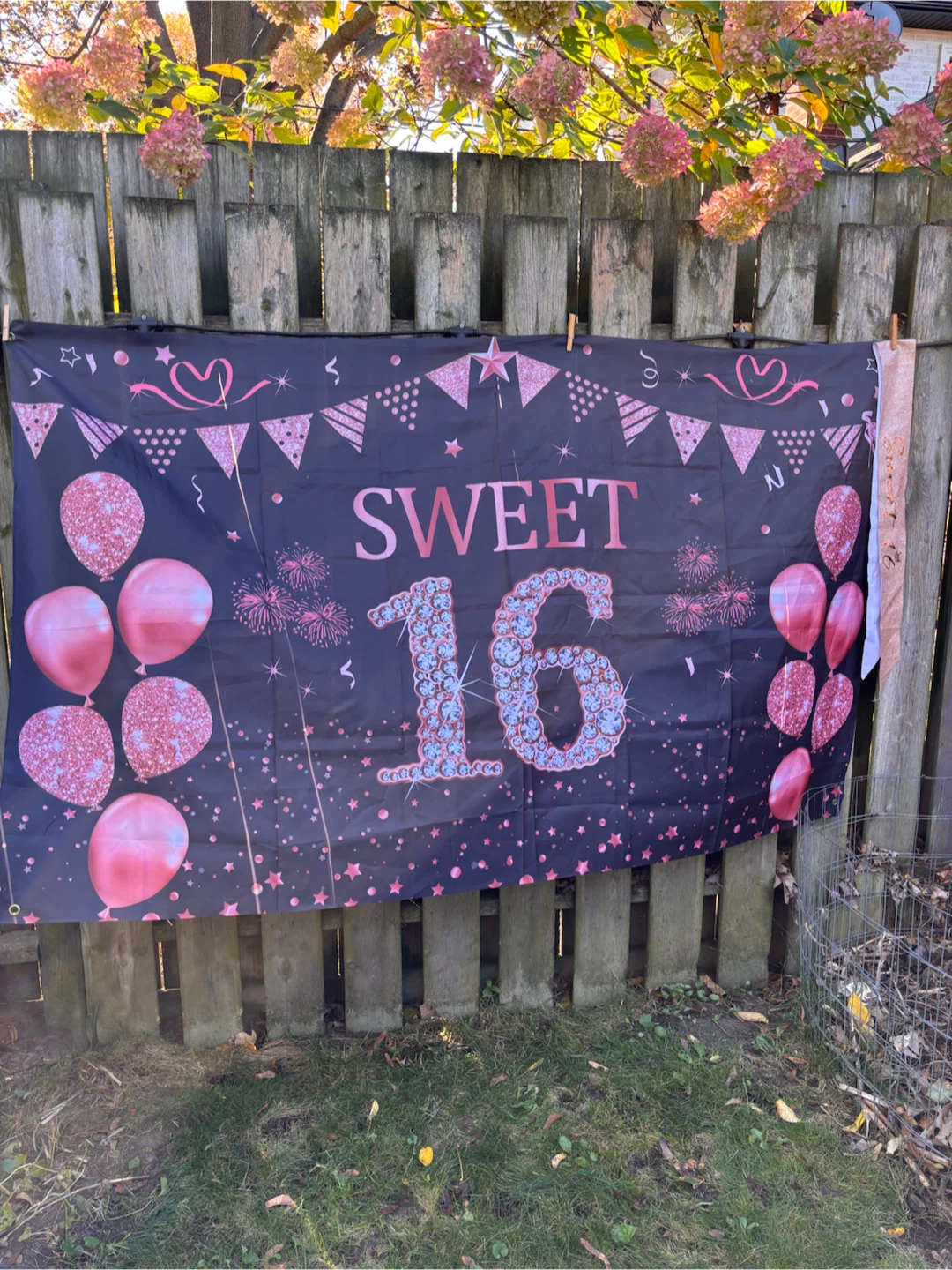 Sweet 16 Birthday Banner and Sash - photo 2