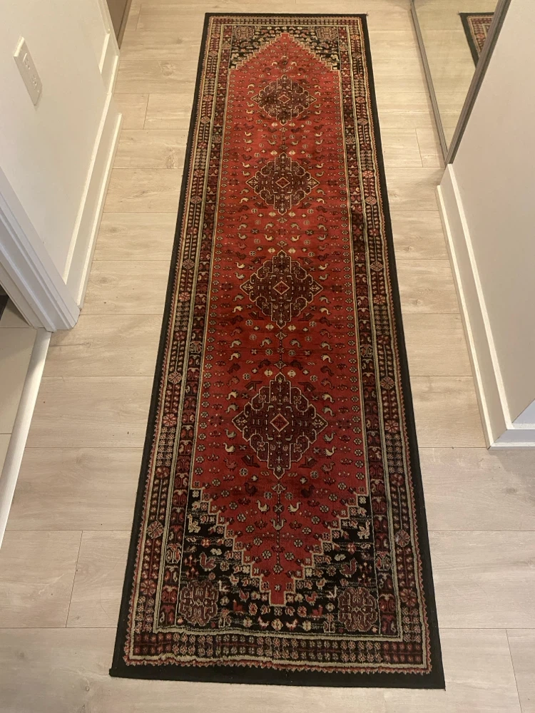 Dynamic Rugs Beluchi Runner