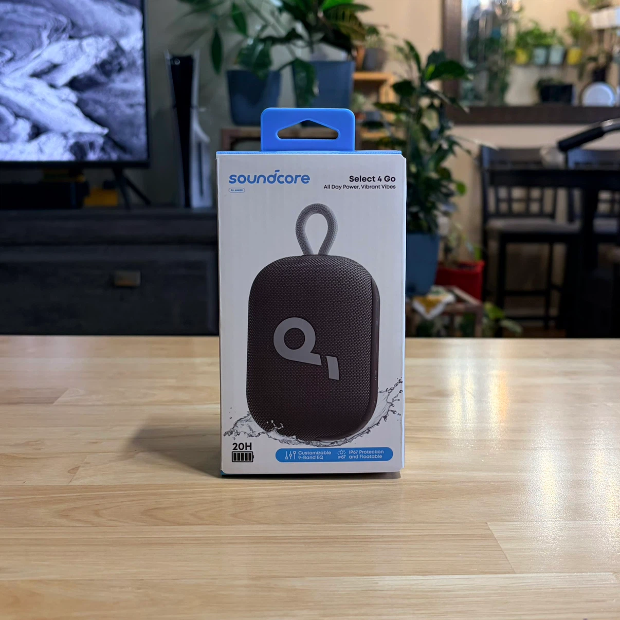 Soundcore Select 4 Go Speaker