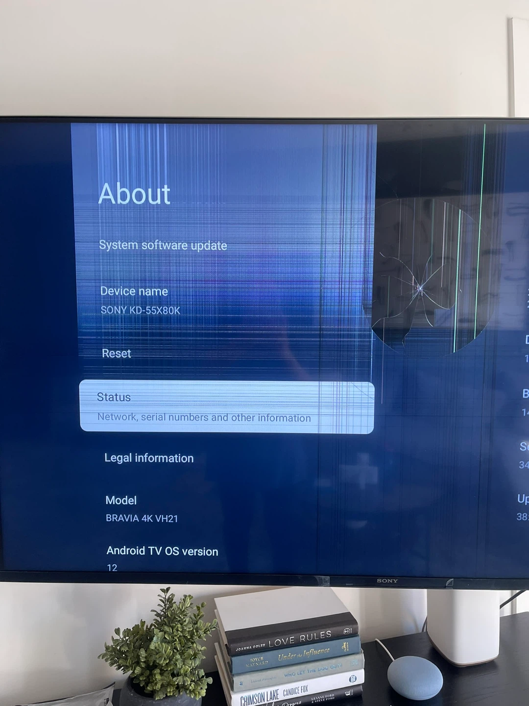 Sony 55” 4K Smart TV – For Parts or Repair – $200