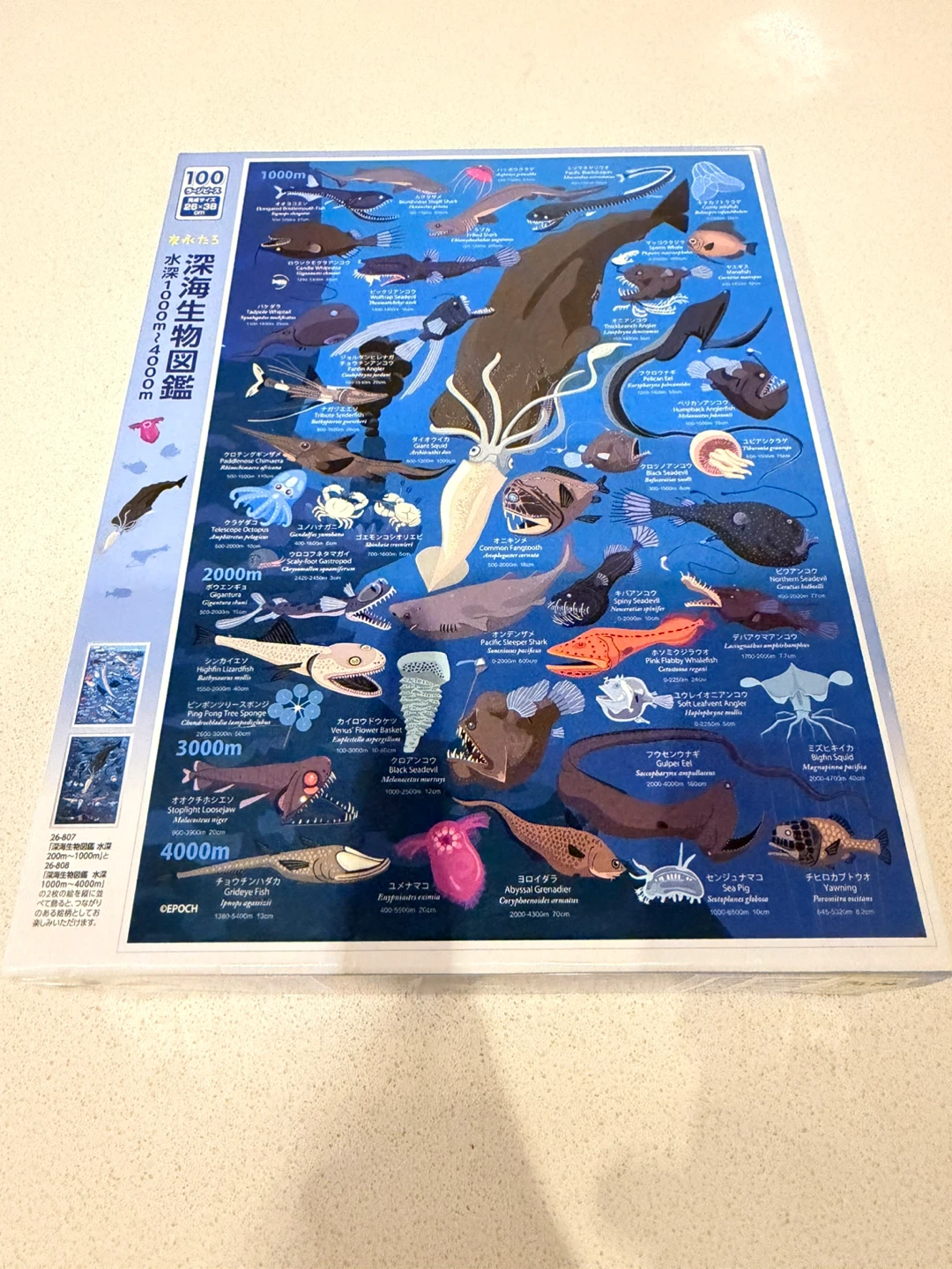 Deep Sea Creatures Jigsaw Puzzle 100 Pieces
