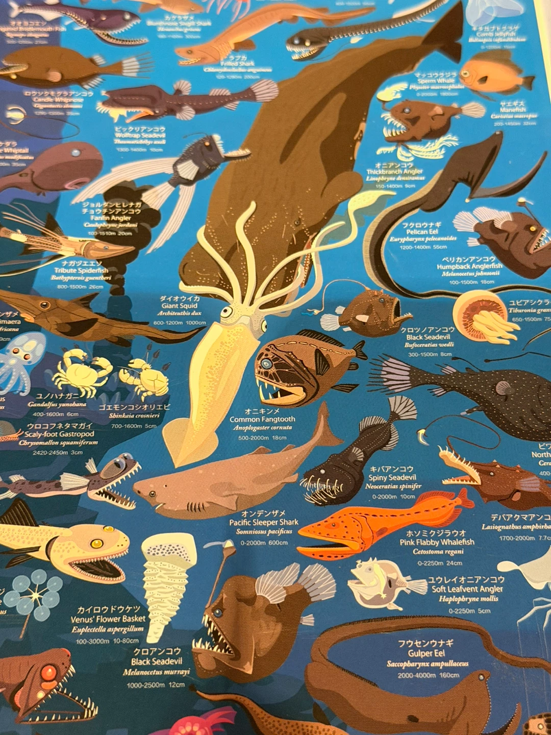 Deep Sea Creatures Jigsaw Puzzle 100 Pieces - photo 3