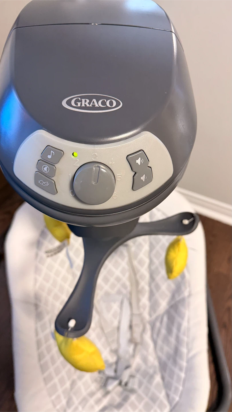 Graco Baby Swing