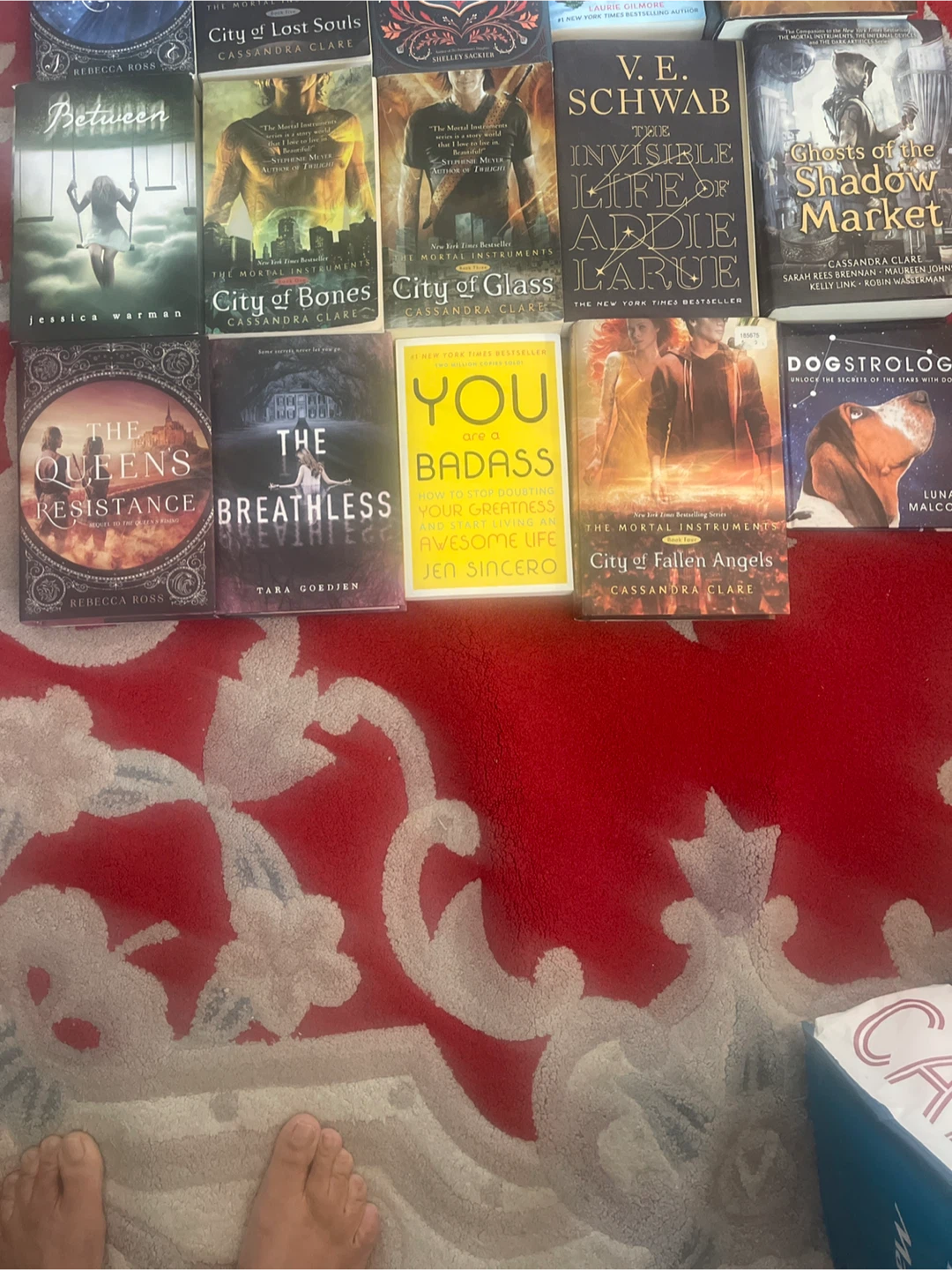 Books - photo 3