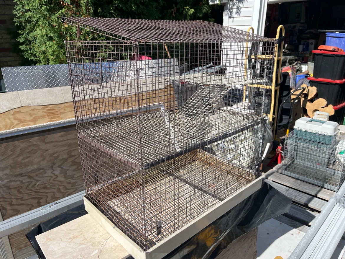 Prevue Pet Products Multi-Level Cage