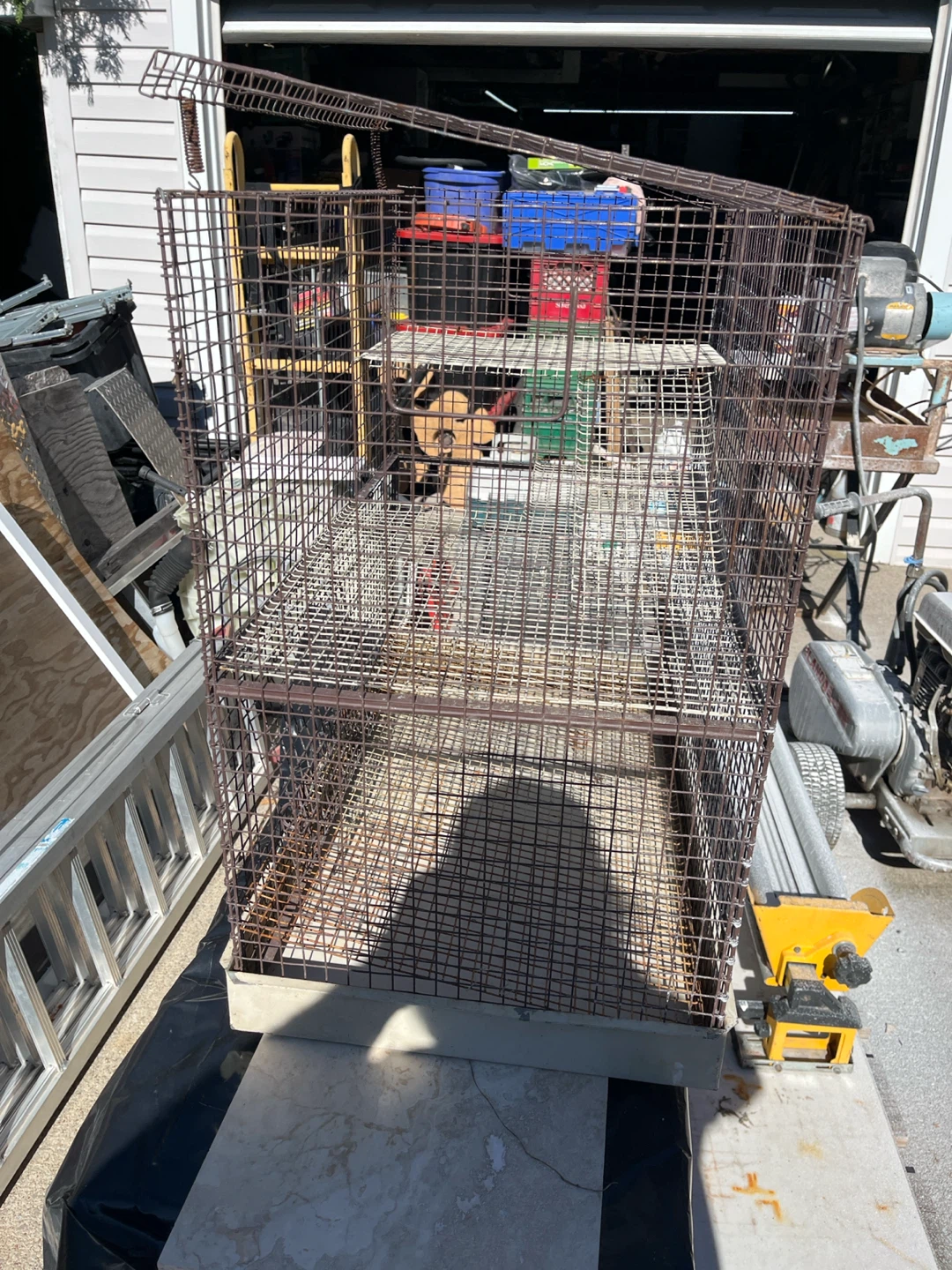 Prevue Pet Products Multi-Level Cage - photo 2