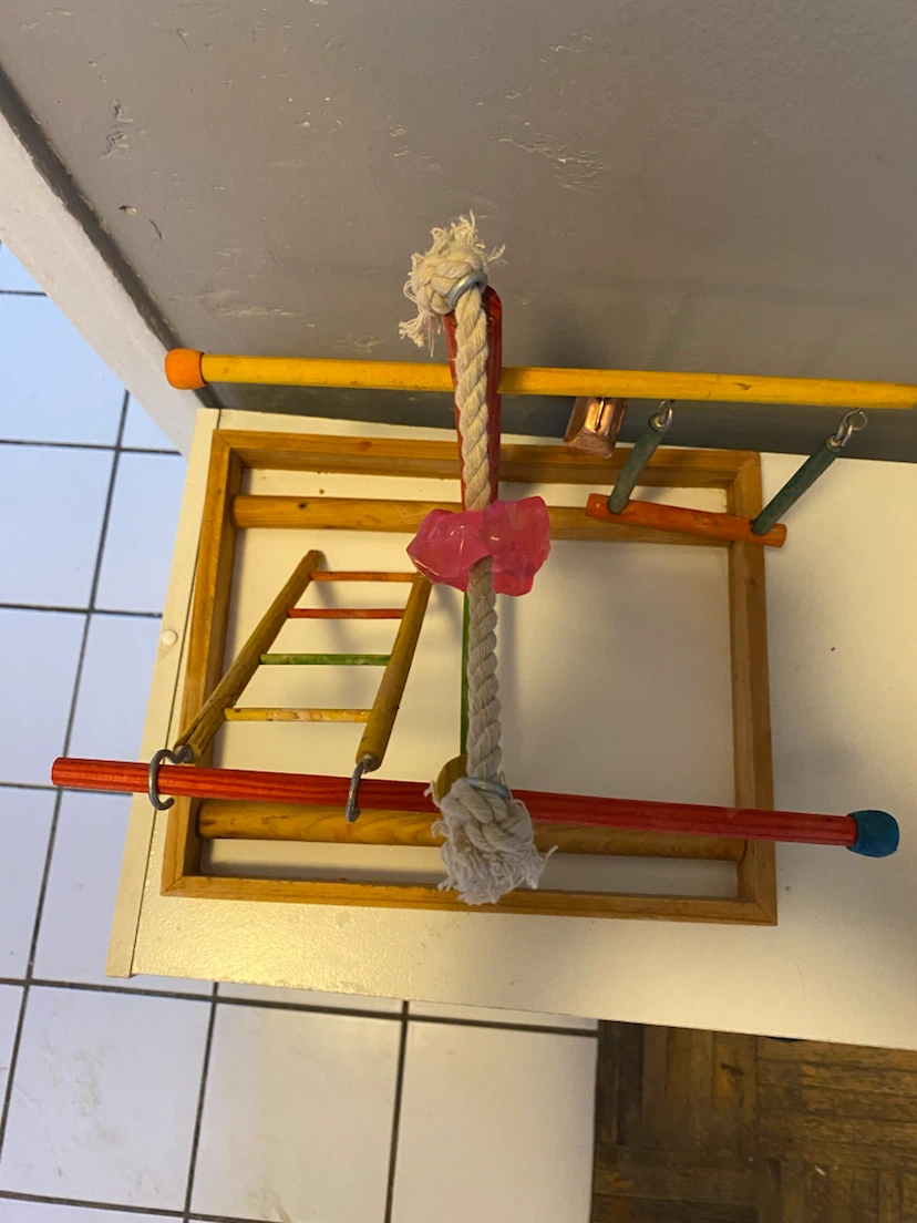 Penn-Plax Wooden Bird Play Gym - photo 2