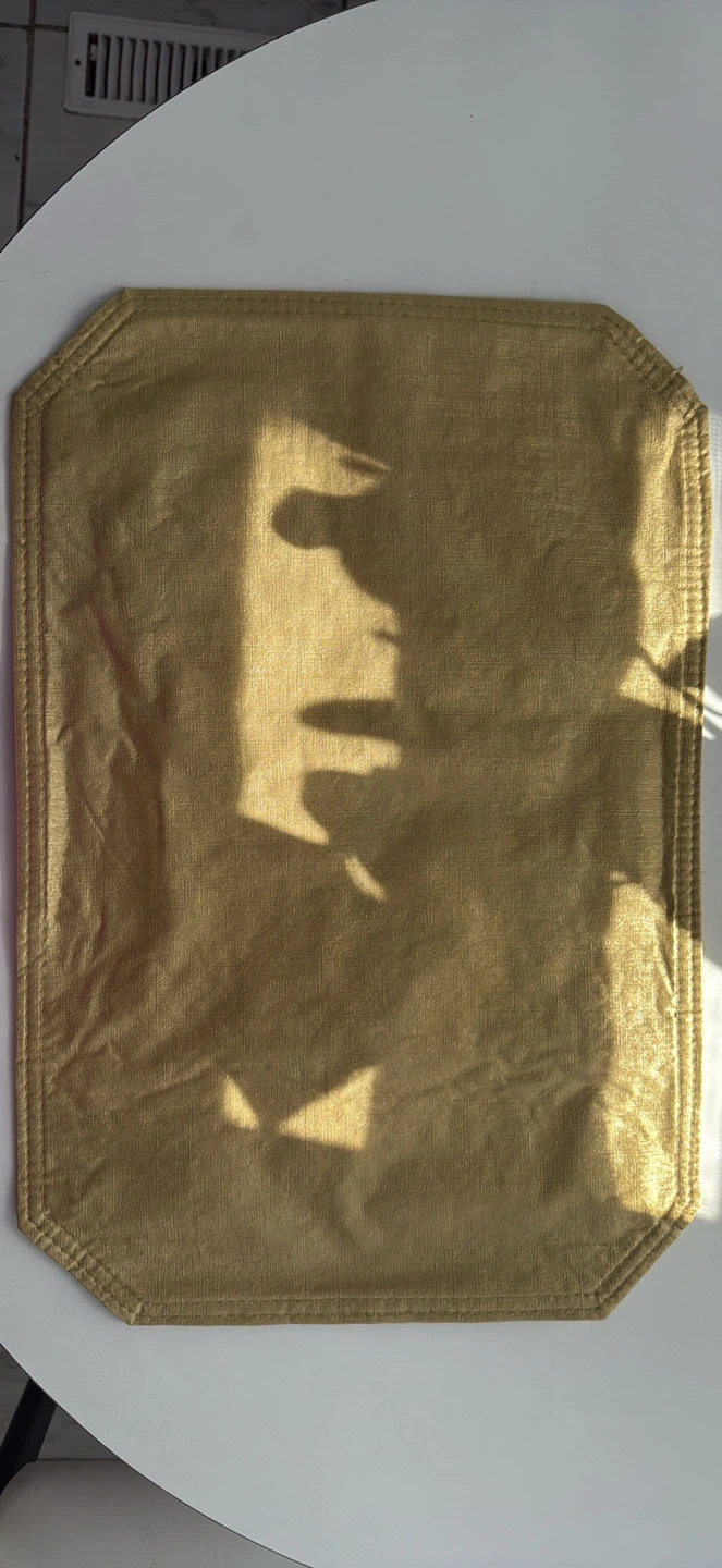 Six Gold Placemats - photo 4