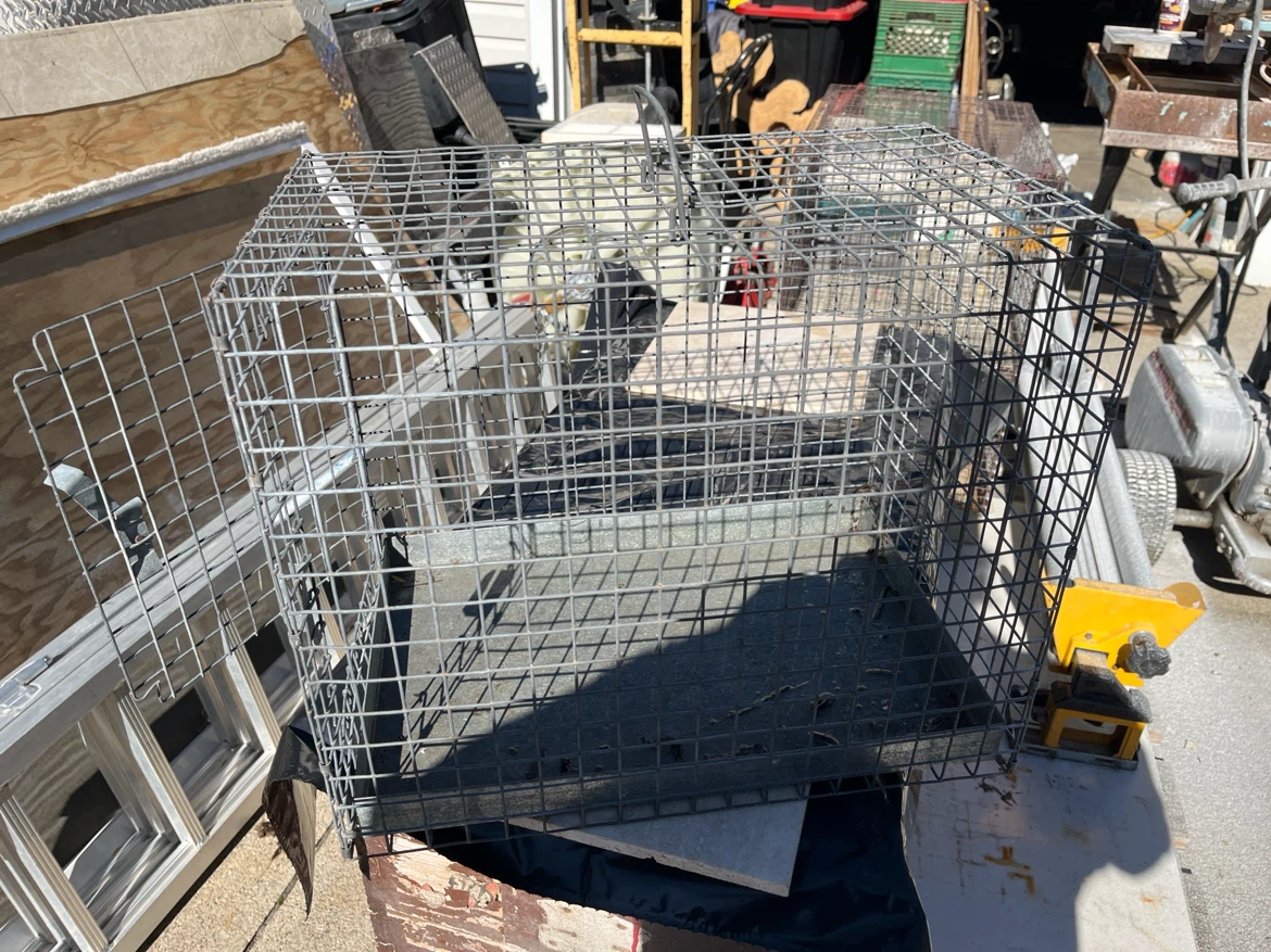 Wire pet crate - photo 2