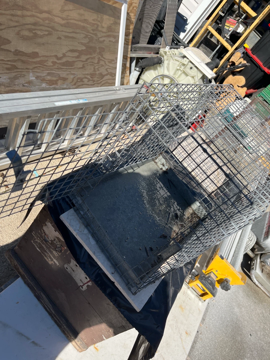Wire pet crate - photo 3