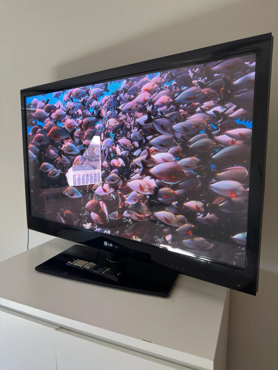 LG Flat Screen Television