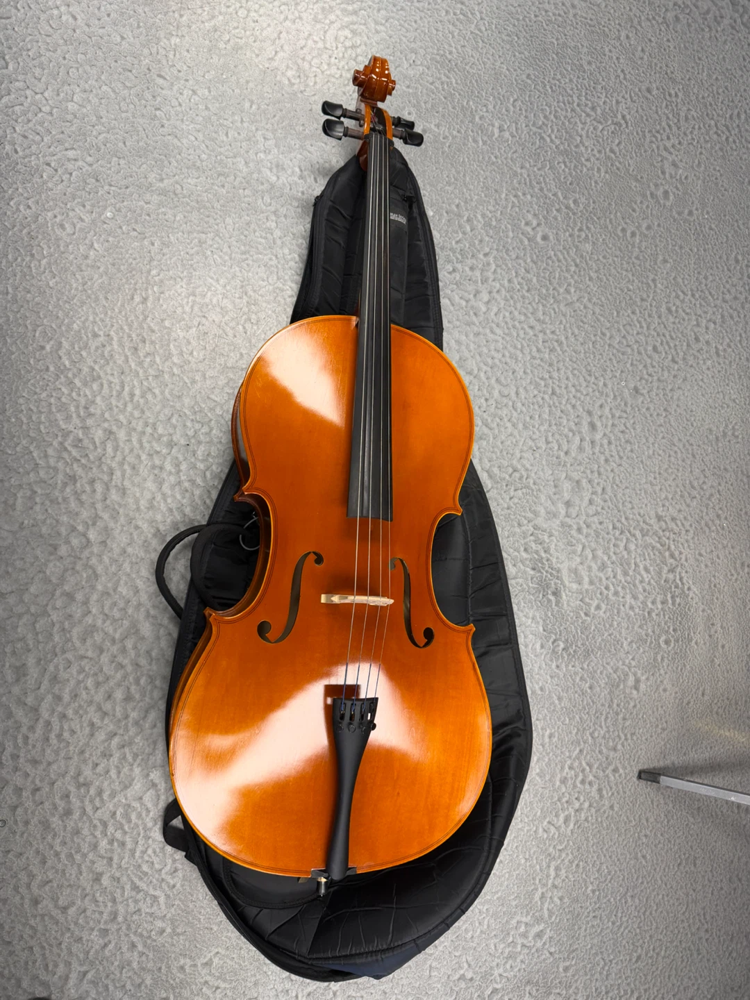 Eastman Strings VC80ST 4/4 Cello Outfit - photo 5