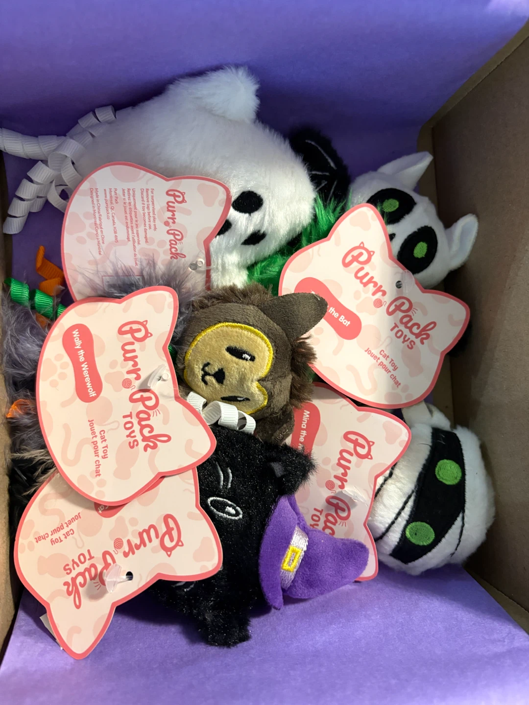 Halloween Cat Box with Toys and Treats - Purr Pack - photo 2