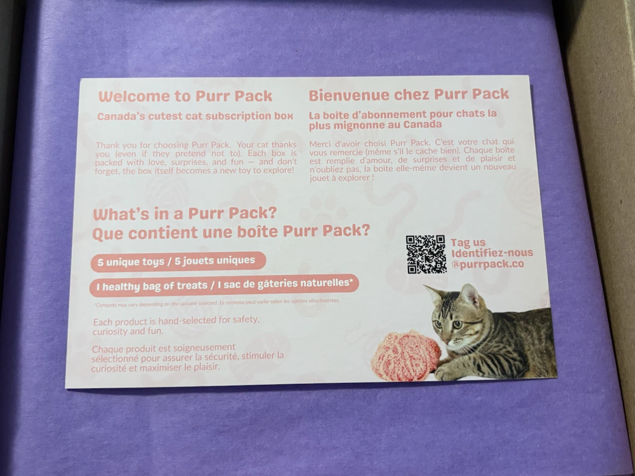 Halloween Cat Box with Toys and Treats - Purr Pack - photo 5