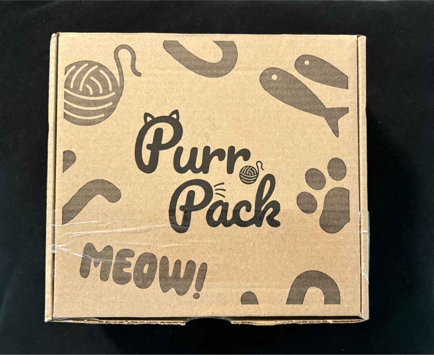 Halloween Cat Box with Toys and Treats - Purr Pack