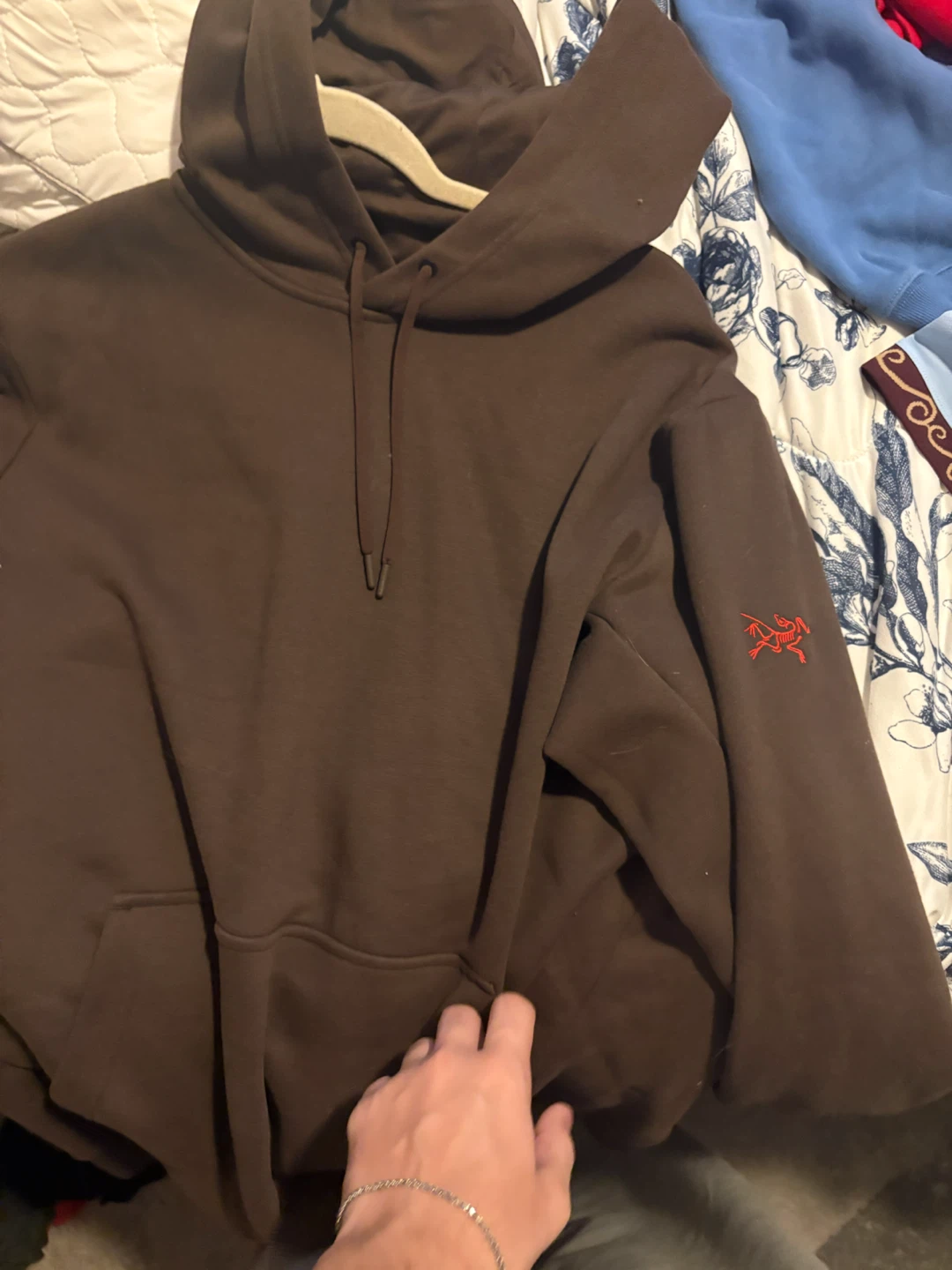 Arc'teryx Brown Hoodie