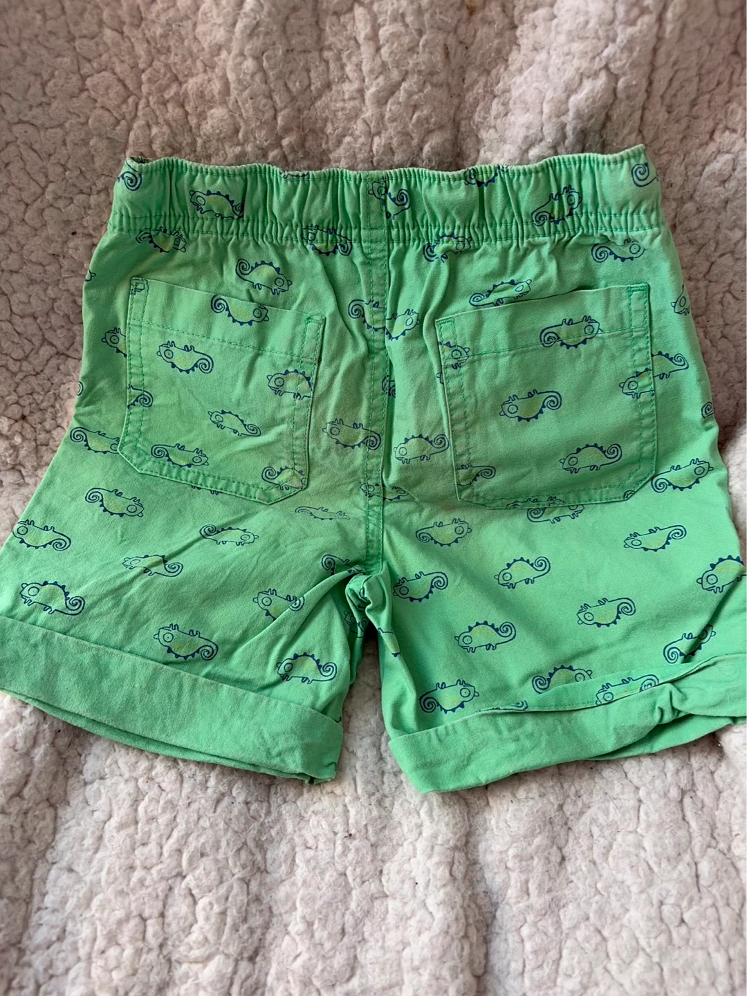 Cat & Jack Green Chameleon Shorts Size 3T - photo 3