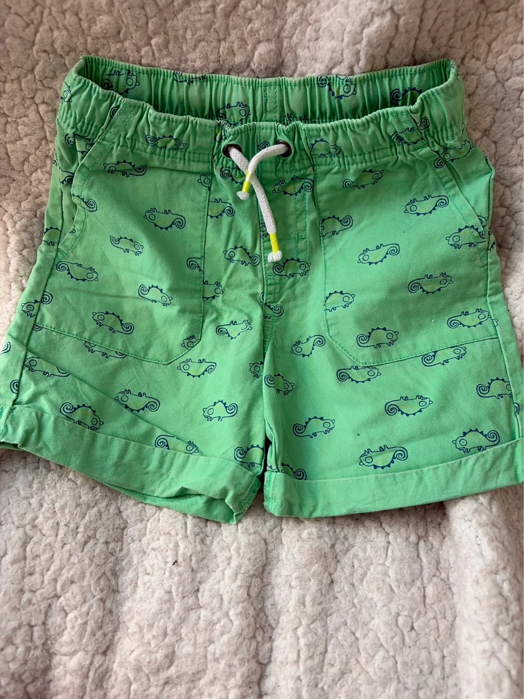 Cat & Jack Green Chameleon Shorts Size 3T
