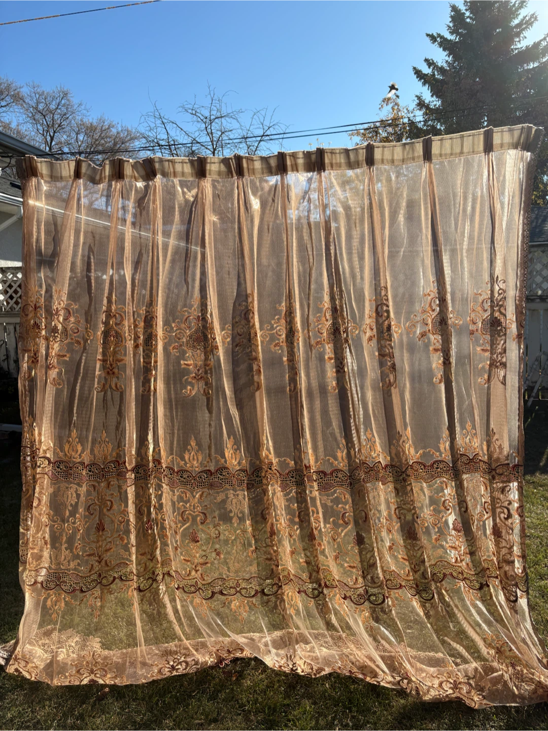Embroidered Sheer Brown Curtains - photo 3